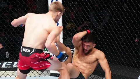 Mma трансляции