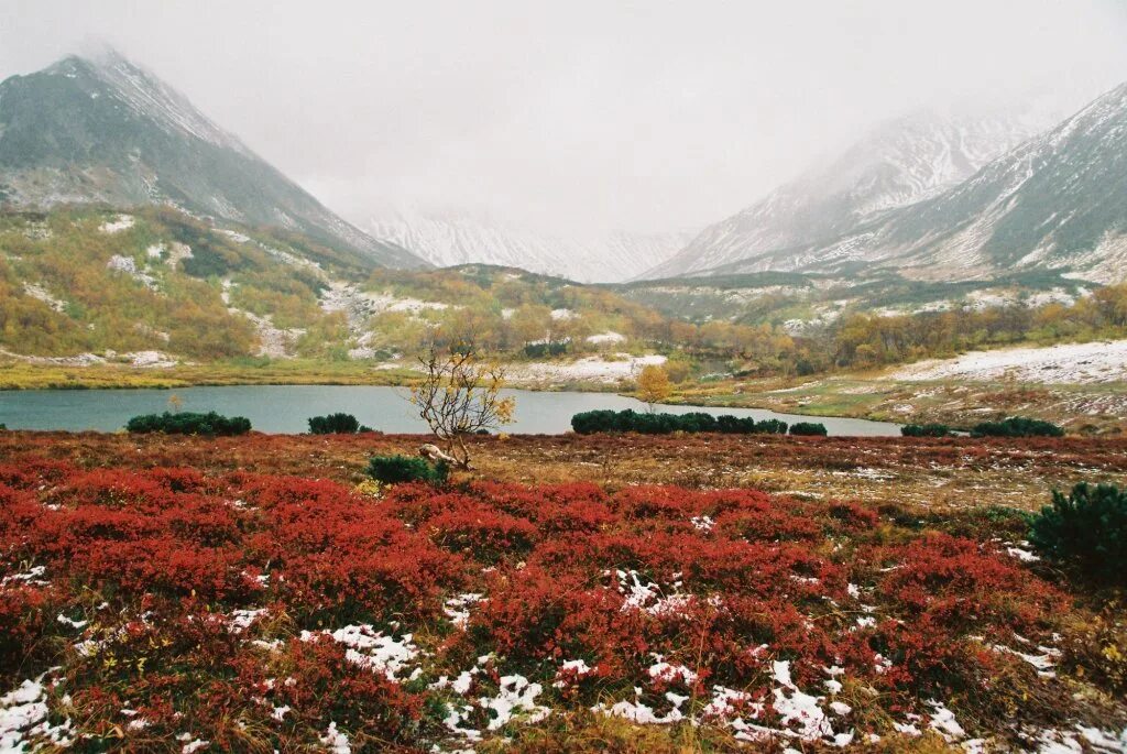Петропавловск камчатский южные коряки. Поселок южные коряки камчатка. Петропавловск камчатский южные коряки. Южные коряки камчатка. Южные коряки камчатский край.