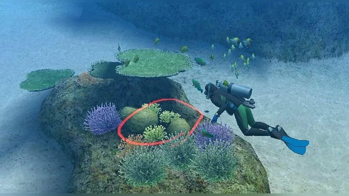 Endless ocean aquatic adventures. Endless ocean игра. endless sea игра. aquanaut&#039;s holiday ps3. aquanaut&#039;s holiday (ps1).