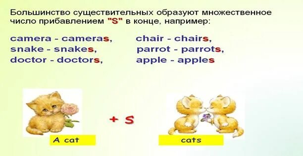 Исключения множественного числа в английском языке. Множественное число в английском языке для детей. Существительные во множественном числе в английском языке для детей. Правило множественного числа в английском языке для 2 класса.