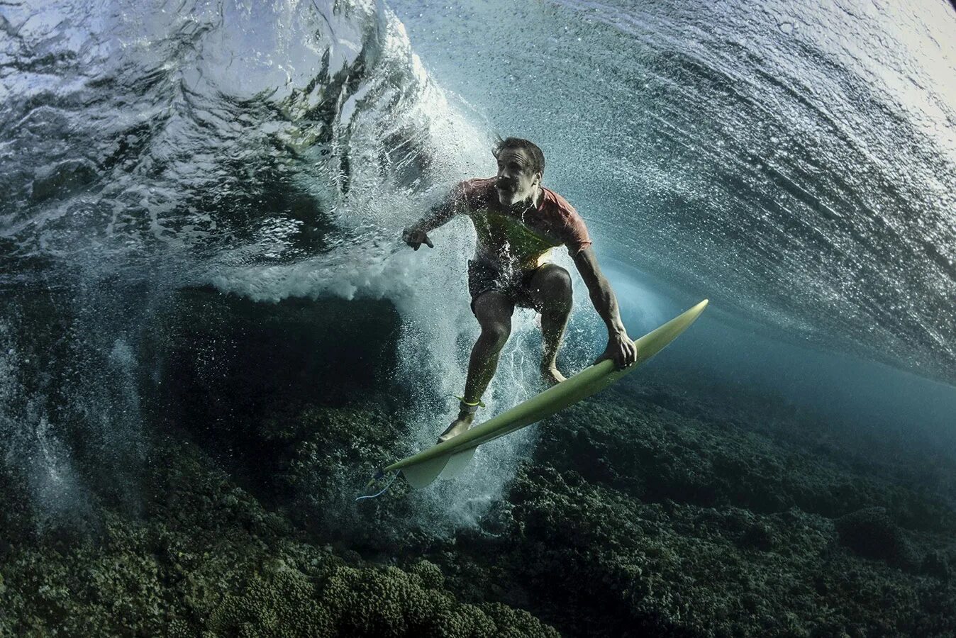 Best photo. Победители фотоконкурса National Geographic. Самые популярные картинки. Уникальные фотографии. Невероятные фотографии.