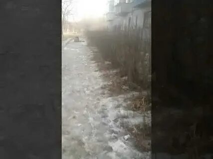Погода в троицкой на 2 недели