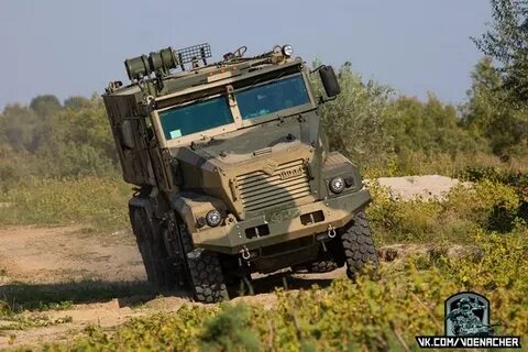 Тайфун 6