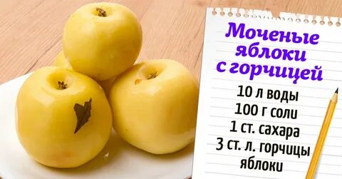 Какие сорта яблок для мочения