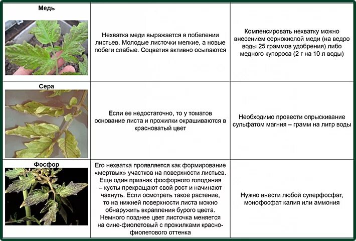 По листу определить чего не хватает