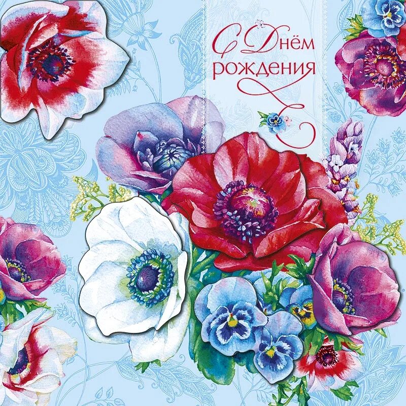 С днём рождения яркие открытки. С днем рождения открытка стильная. Поздравительная открытка с днем рождения стильная. С днем рождения. С днем рождения открытки с цветами.