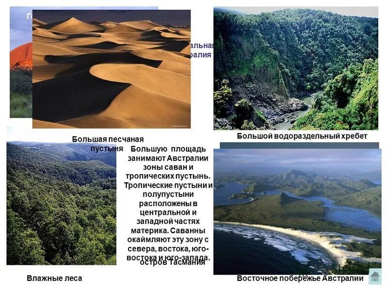 Какие зоны занимают самую большую площадь. Какие зоны занимают самую большую площадь. Какие зоны занимают самую большую площадь. Светлохвойная тайга россии территории. Какие зоны занимают самую большую площадь.