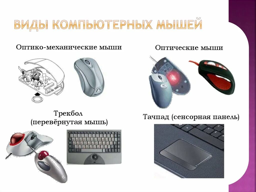 Компьютерная мышь заполните таблицу. Трекбол мышь схема. мышь трекбол сенсорная панель презентация. виды компьютерных мышей. типы компьютерных мышек.