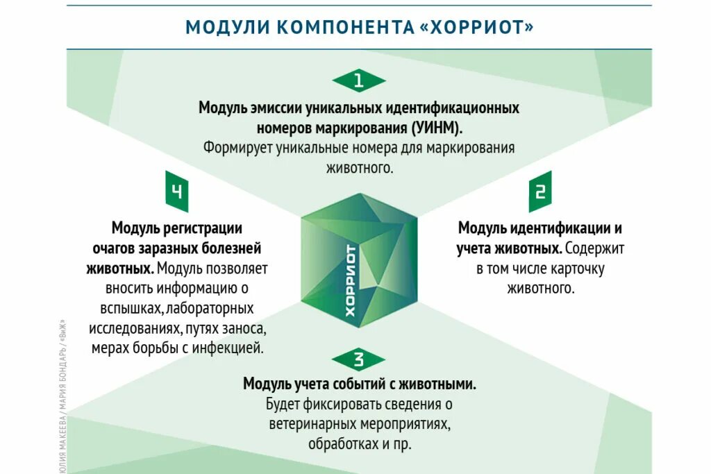 Ветис хорриот вход. Обязательная маркировка. Хорриот Ветис. Маркировка КРС В системе Хорриот. Ветеринарные правила маркирования и учета животных.