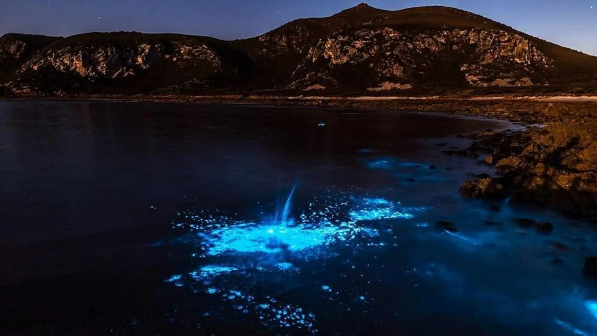 Светятся под водой. Остров Ваадху. Светящийся океан биолюминесцентный фитопланктон. Светящиеся озеро. Свечение моря.