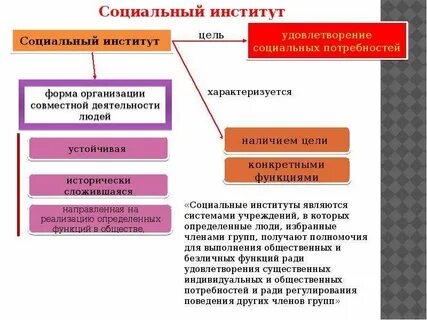 Социальная организация общностей социальные институты