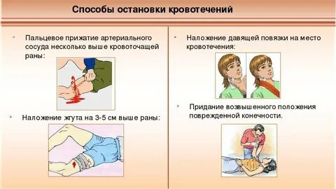 Тест раны обж