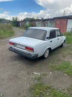 Белый бийск