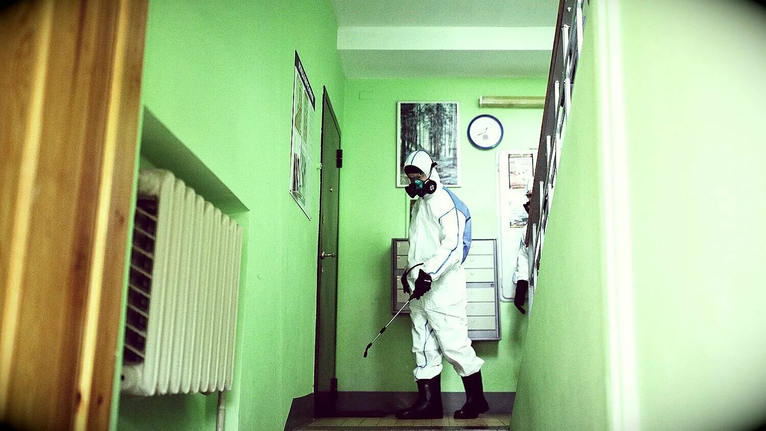 малярные работы. дезинсекция подъезда. дезинсекция в мкд. дератизация в мкд. дезинсекция подъезда.