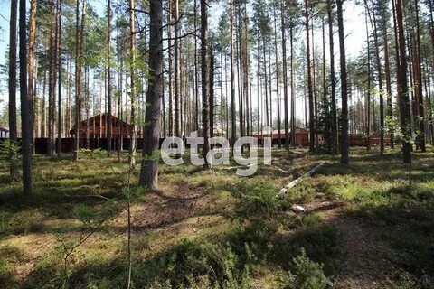 Северная жемчужина участки