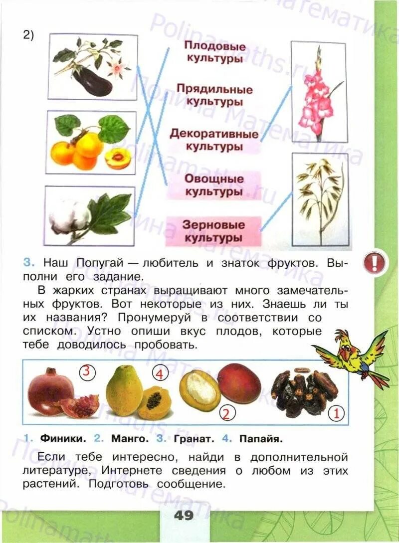 Окружающий мир 1 класс стр 49 ответы. Сорта культурных растений 2 класс окружающий мир рабочая тетрадь. Дикорастущие и культурные растения. Культурные растения 2 класс. Дикорастущие и культурные растения рабочая тетрадь.