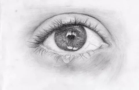 Draw see