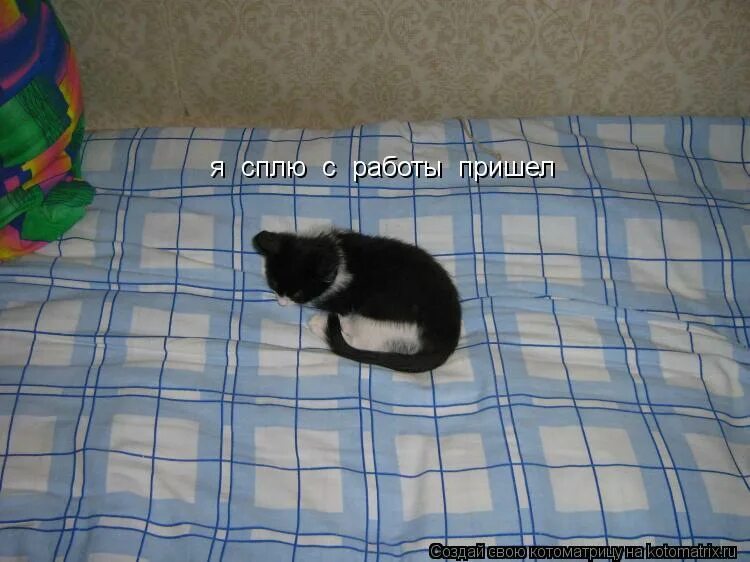 пришла с работы и уснула. спать валетиком. домой после работы. пришла домой с работы. отдыхай после работы.