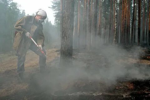 Лесные пожары приказ