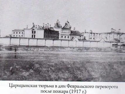 Сайт царицына