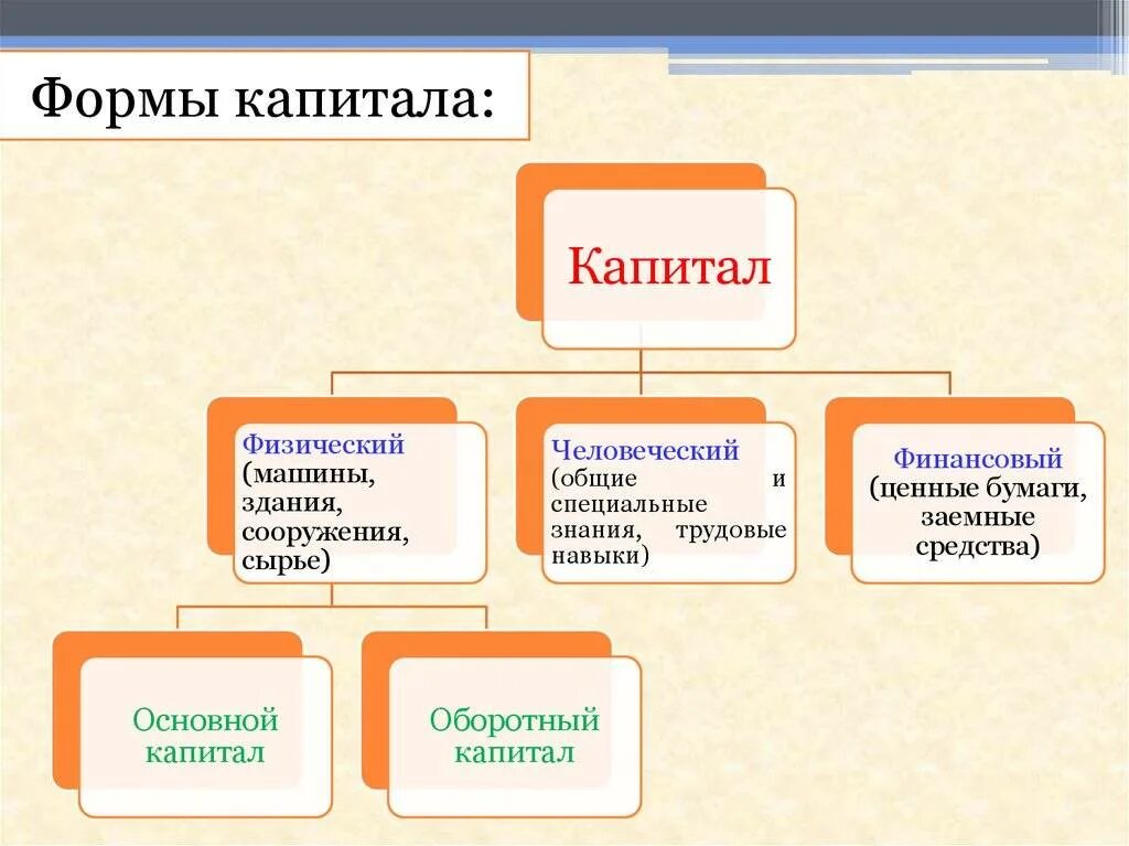 Формы капитала. Виды капитала. Основные формы капитала. Формы капитала организации. Указать отличие физических и