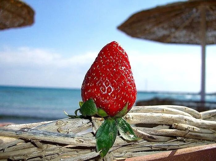 Ягодное тольятти водохранилище. Пляж хрящевка тольятти. Село ягодное жигулевское море. Абхазия гагры море. Ягодное море.