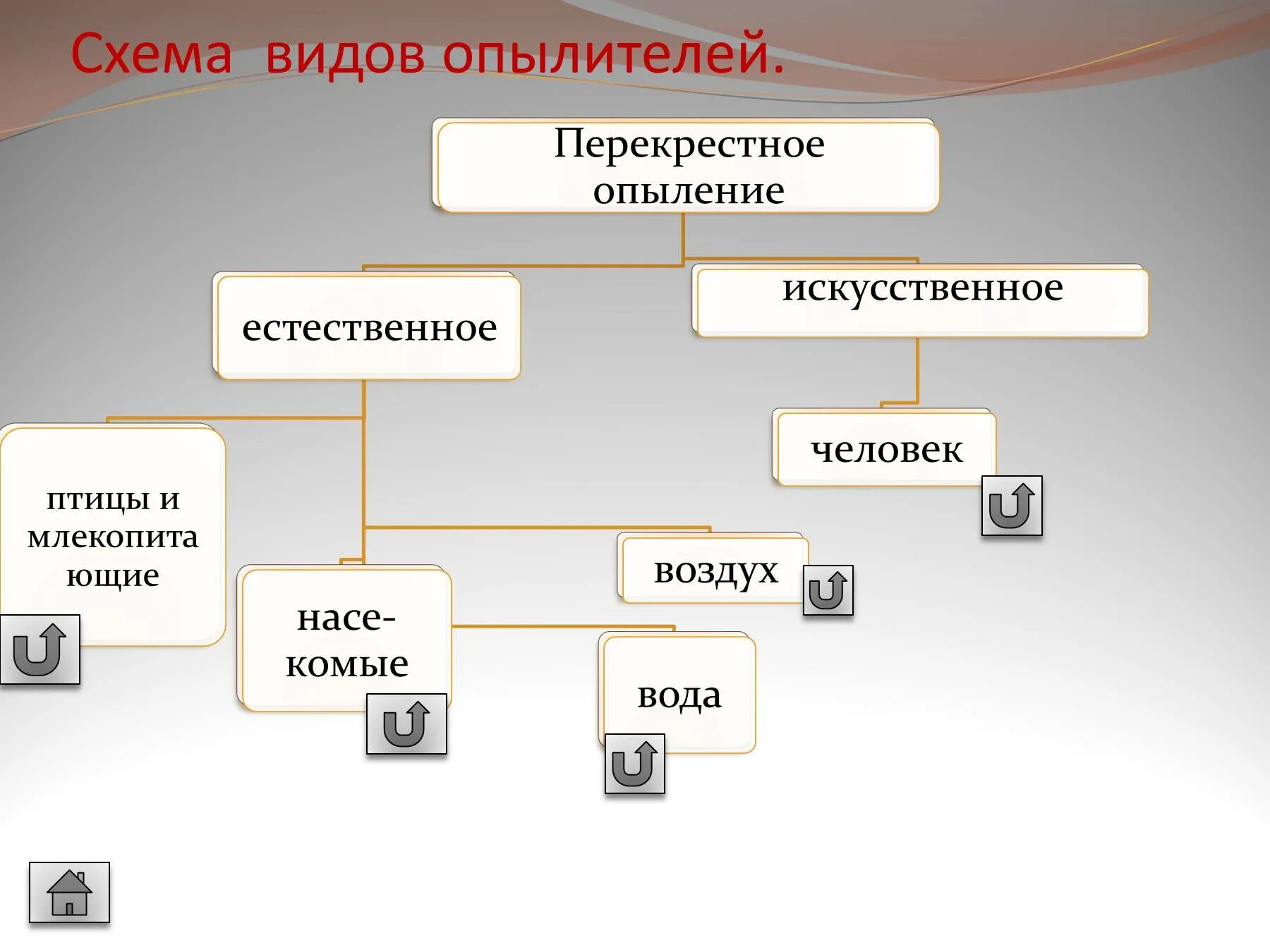 Имеется два основных типа опыления. Виды опыления. типы опыления схема. типы опыления составьте схему. составить схему виды опылыления.