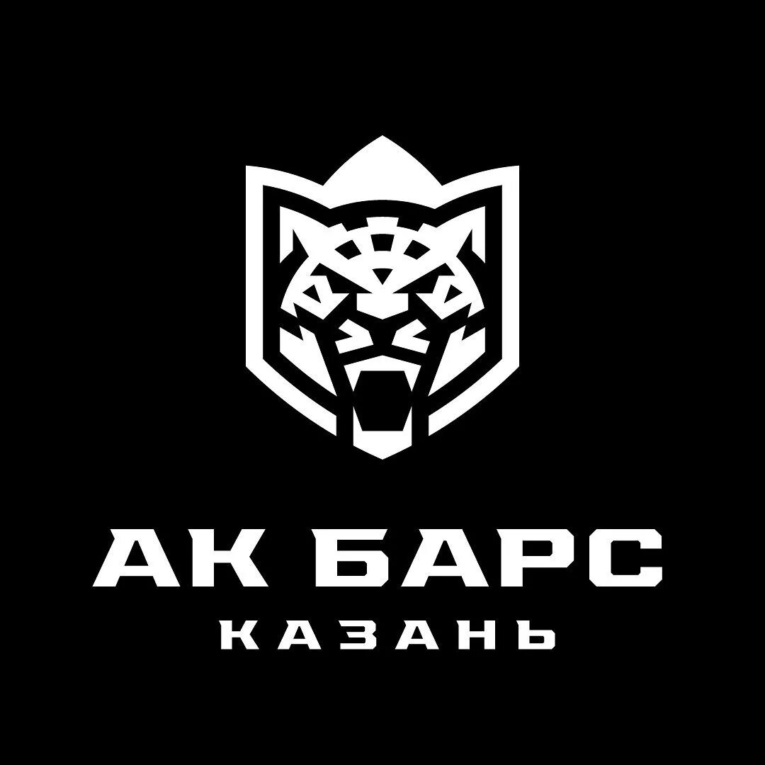 Ак барс групп. Ак барс логотип. ак барс эмблема хоккейного клуба. ак барс эмблема 2025. новый логотип ак барса 2025.