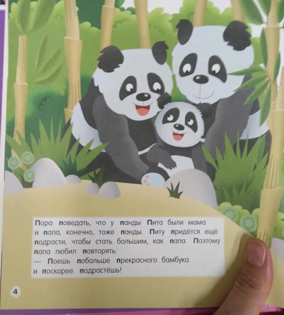 Панда и дракон книга. Стих про панду для детей. Книжки для детей про панду. Детские книги о пандах. Загадка про панду.