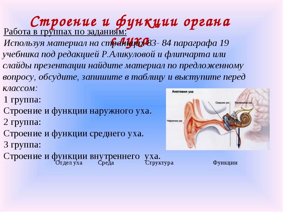 Строение и функции слухового. Строение строение слухового анализатора. Строение слухового анализатора 8 класс биология. Строение слухового анализатора анатомия. Слуховой анализатор и орган слуха анатомия.