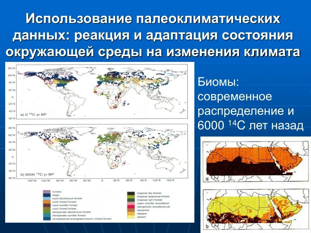 Мероприятия по вопросам адаптации к изменениям климата