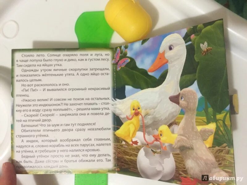 Почему утенок сбежал с птичьего двора. Птичий двор гадкий утенок. книжка малышка гадкий утенок андерсен. птичий двор из гадкого утенка. книга гадкий утёнок.
