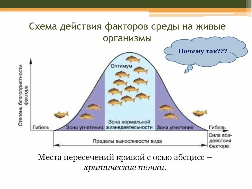 Действующий фактор среды