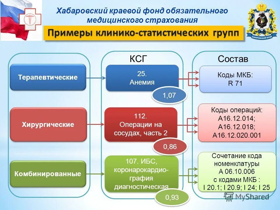 Фомс хабаровский край. Территориальные фонды. Территориальный фонд омс. Фрунзе 69 хабаровск фомс. Программы обязательного медицинского страхования.