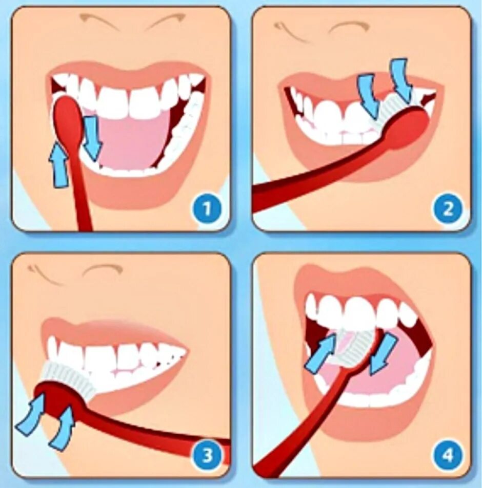 Схема чистки зубов. Плакат чистка зубов. Чистка зубов рисунок. Правильная чистка зубов. Правильно чистить зубы до завтрака или