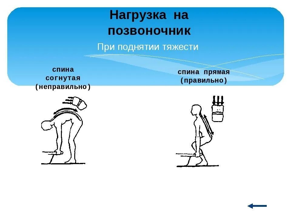 Сколько времени нельзя поднимать. Правильное распределение нагрузки на позвоночник. Поднимает тяжесть. Поднятие тяжестей. Как правильно поднимать тяжести.