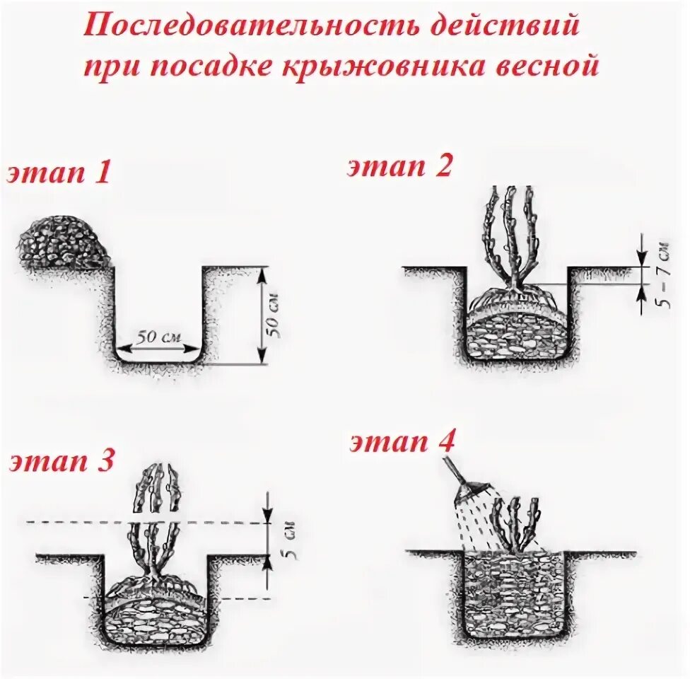 Плотная посадка