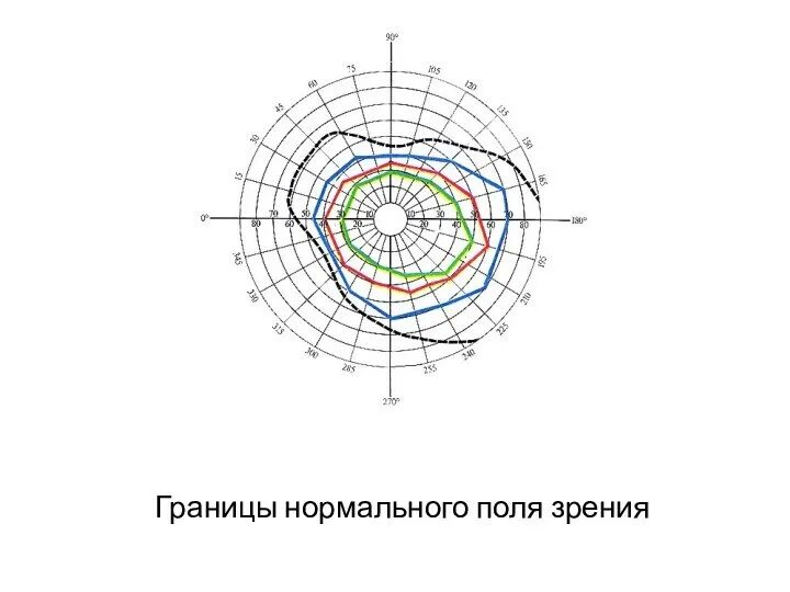 Определение поля зрения. Границы поля зрения. нормальные границы поля зрения на белый цвет.