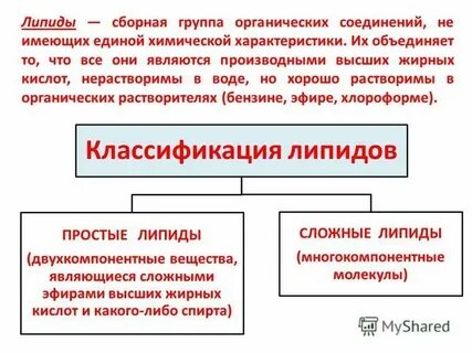 Органические вещества общая характеристика липиды 10 класс