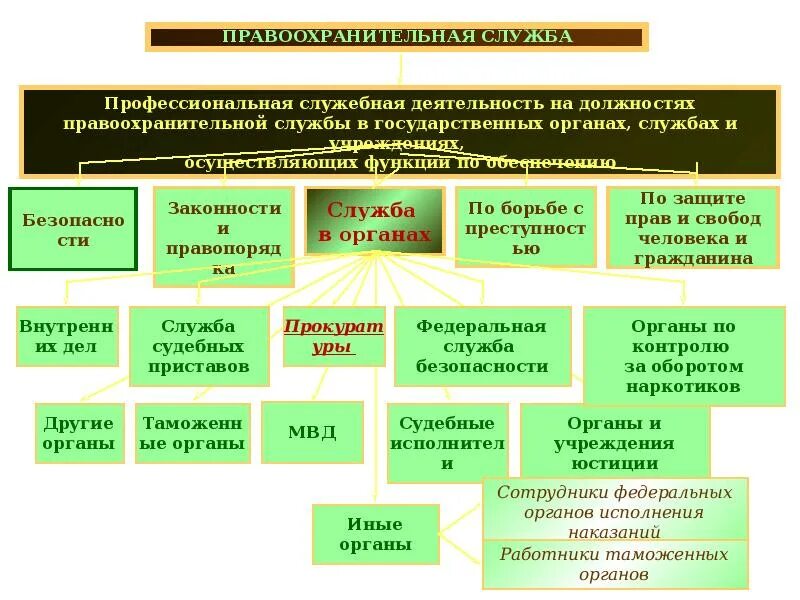 Виды правоохранительной службы. Структура правоохранительной службы. Структура государственной службы. Форма правоохранительной службы. Федеральные правоохранительные службы рф