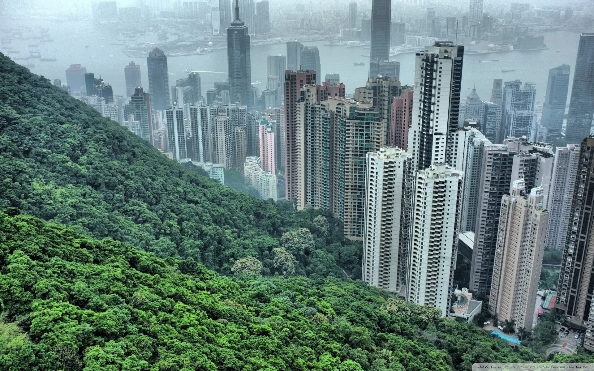 Hong kong 3