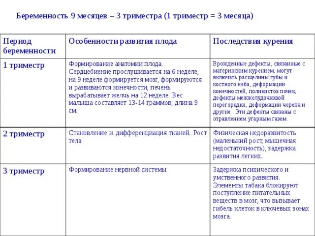 Особенности триместров беременности