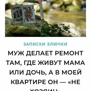 Записки злючки дзен свежие
