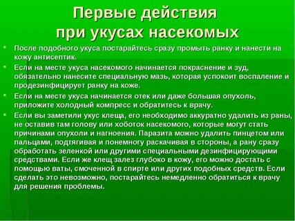 Укусы насекомых что делать после