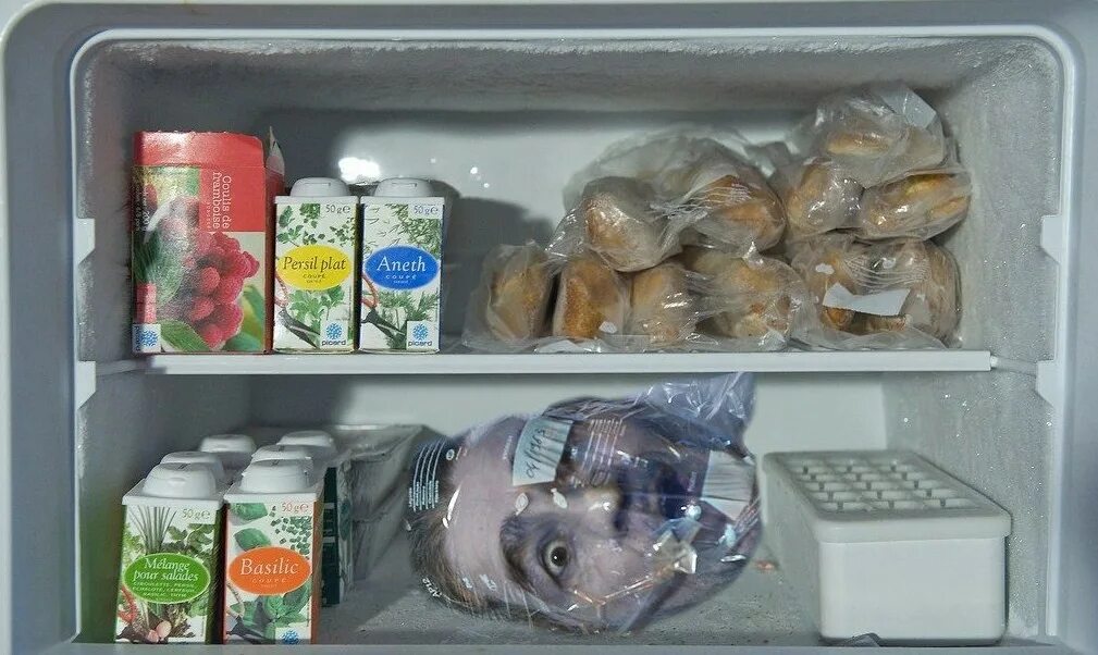 Можно ли хранить соленую селедку в морозилке. Хранение продуктов в морозилке. быстро портящие продукты. продукцию убираем в холодильную камеру. запах в морозильной камере.