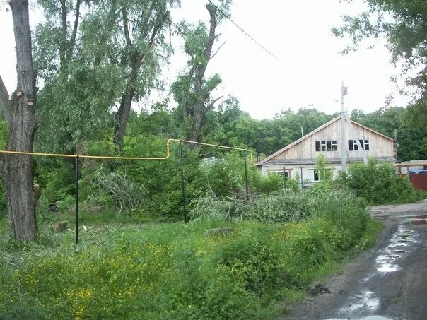 Погода посёлок лесной ульяновская область. Лесное матюнино ульяновская область. Поселок лесной ульяновская. Лесная быль ульяновск. Поселок лесная дача ульяновская область.