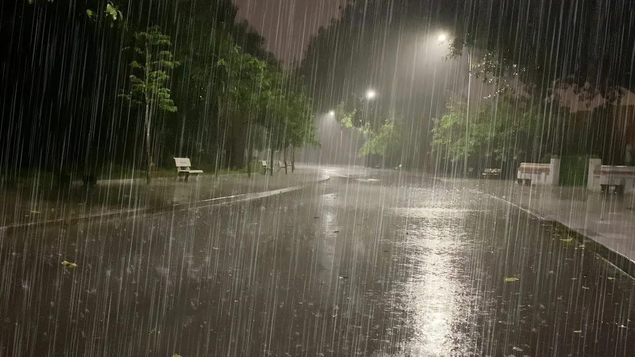 Ливень для сна. Моросящий дождь. Сильный дождь ночью. Дождь в парке. Моросящий летний дождь.