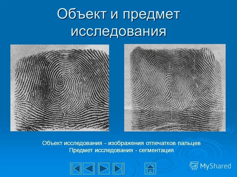 Три вида отпечатков пальцев. Геномная дактилоскопия в криминалистике. Отпечатки пальцев судебная медицина. Zt 4500дактилоскопия. Адерматоглифия отпечаток.