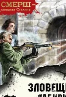 Аудиокнига мрачный стрелок книга 2