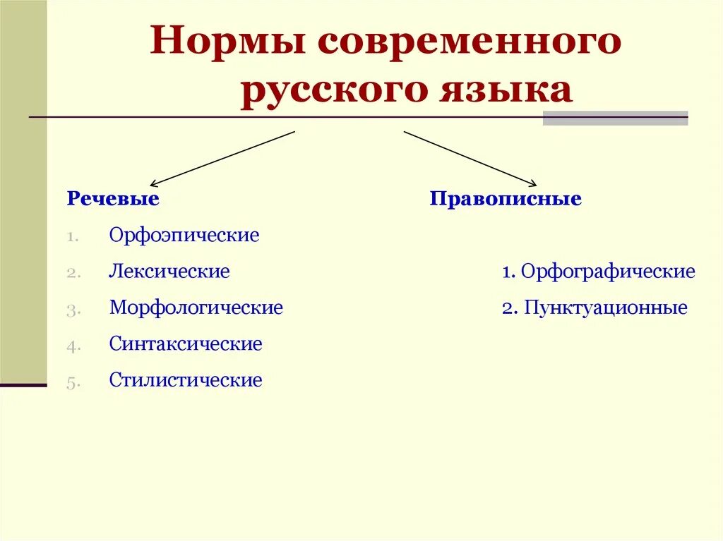 Современный русский литературный язык примеры слов. Нормы литературного языка схема. Нормы современного русского языка. Нормы современного русского литературного языка. Перечислите нормы современного русского языка.